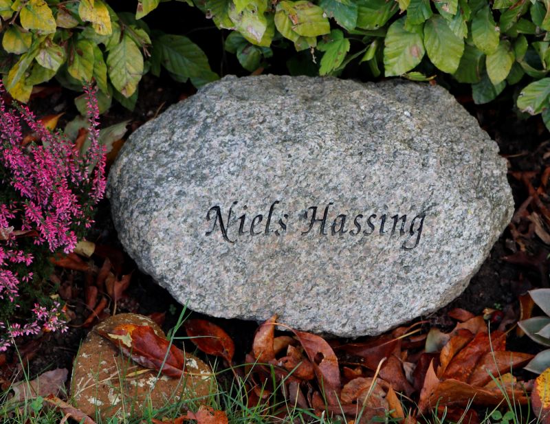 Niels Hassing.JPG